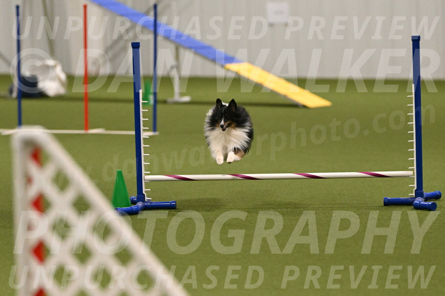 Gizmo-Kim-Finlayson-10741