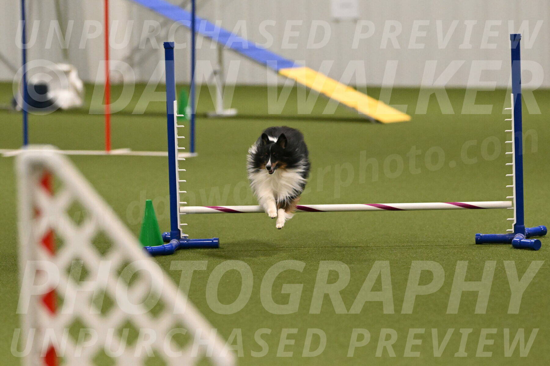 Gizmo-Kim-Finlayson-10742