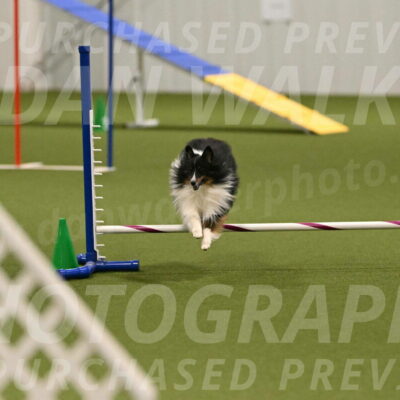 Gizmo-Kim-Finlayson-10742