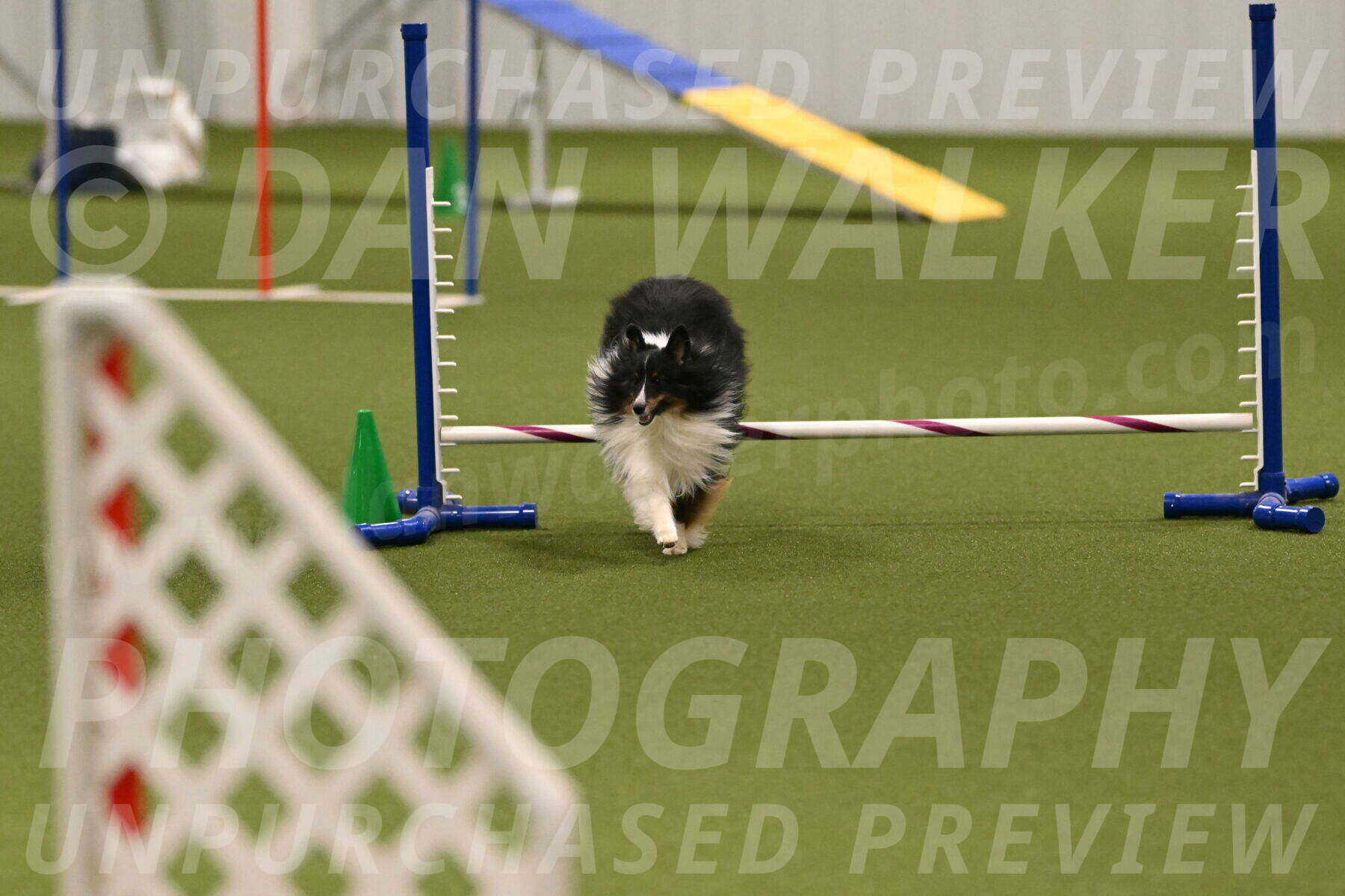 Gizmo-Kim-Finlayson-10743