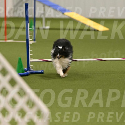 Gizmo-Kim-Finlayson-10743