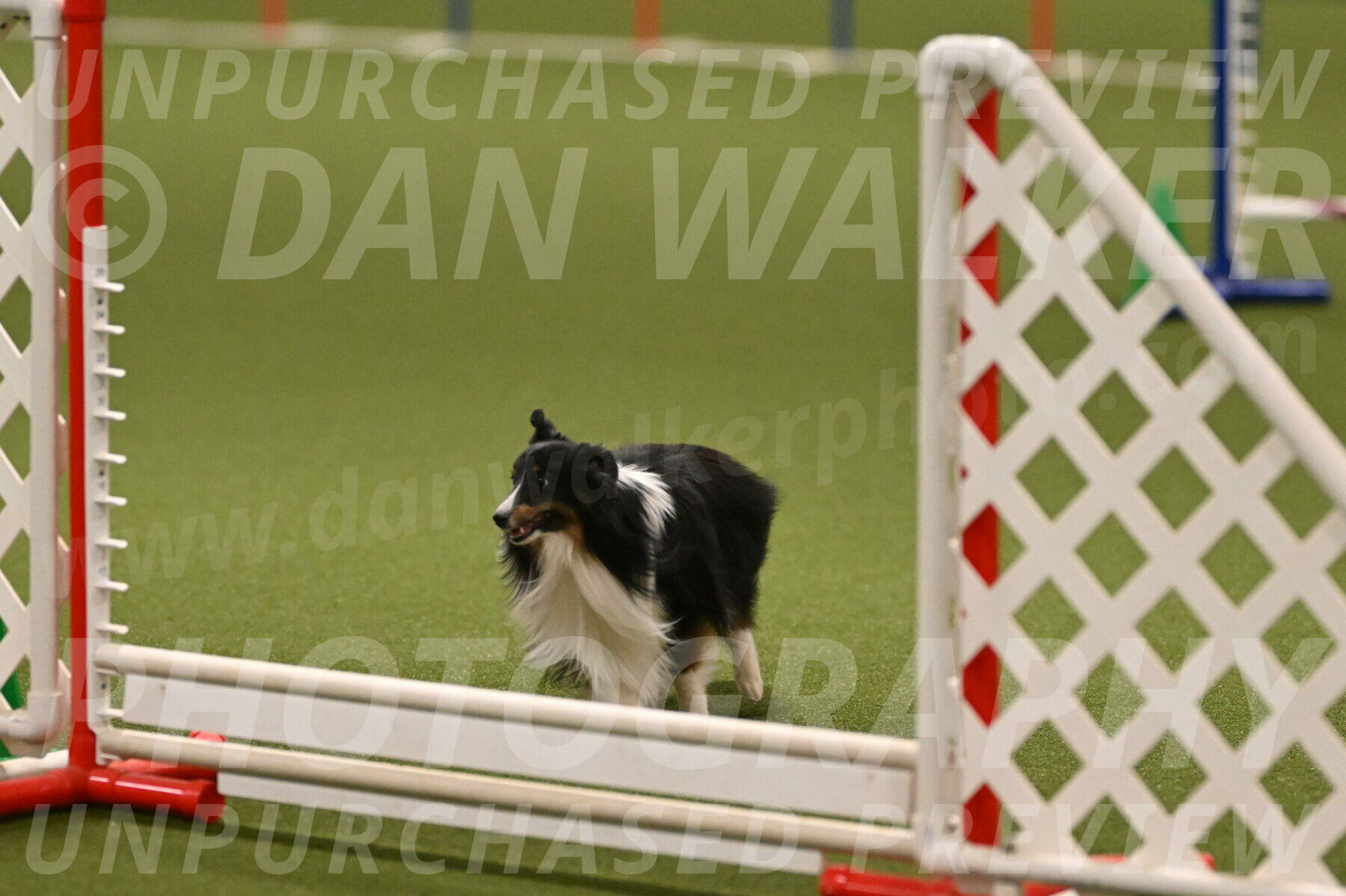 Gizmo-Kim-Finlayson-10744