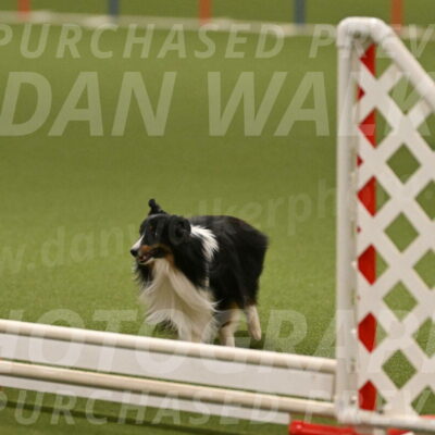 Gizmo-Kim-Finlayson-10744