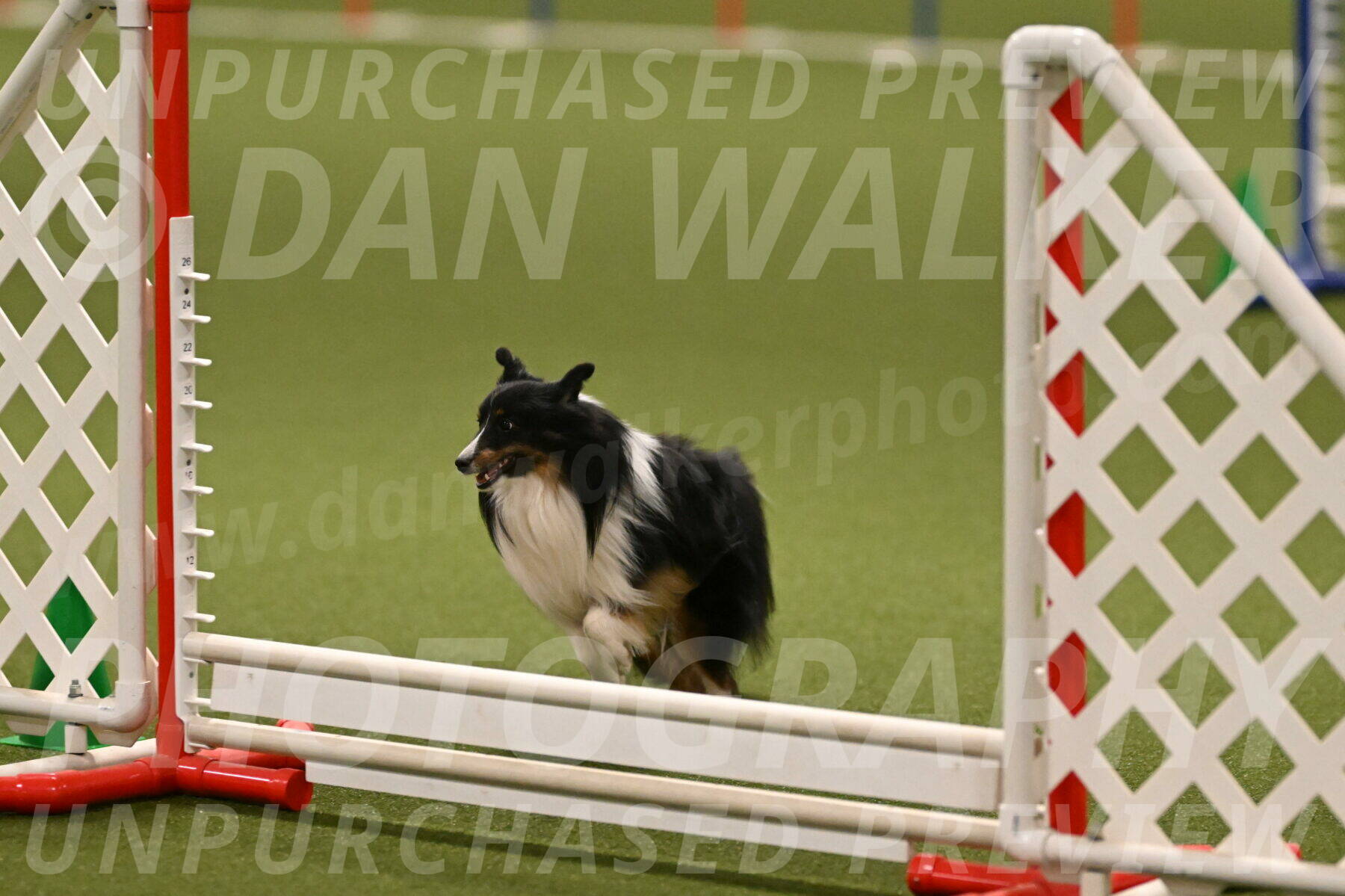 Gizmo-Kim-Finlayson-10745