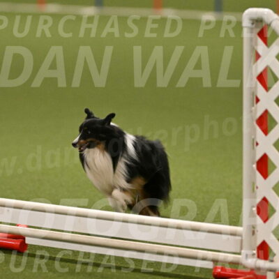 Gizmo-Kim-Finlayson-10745