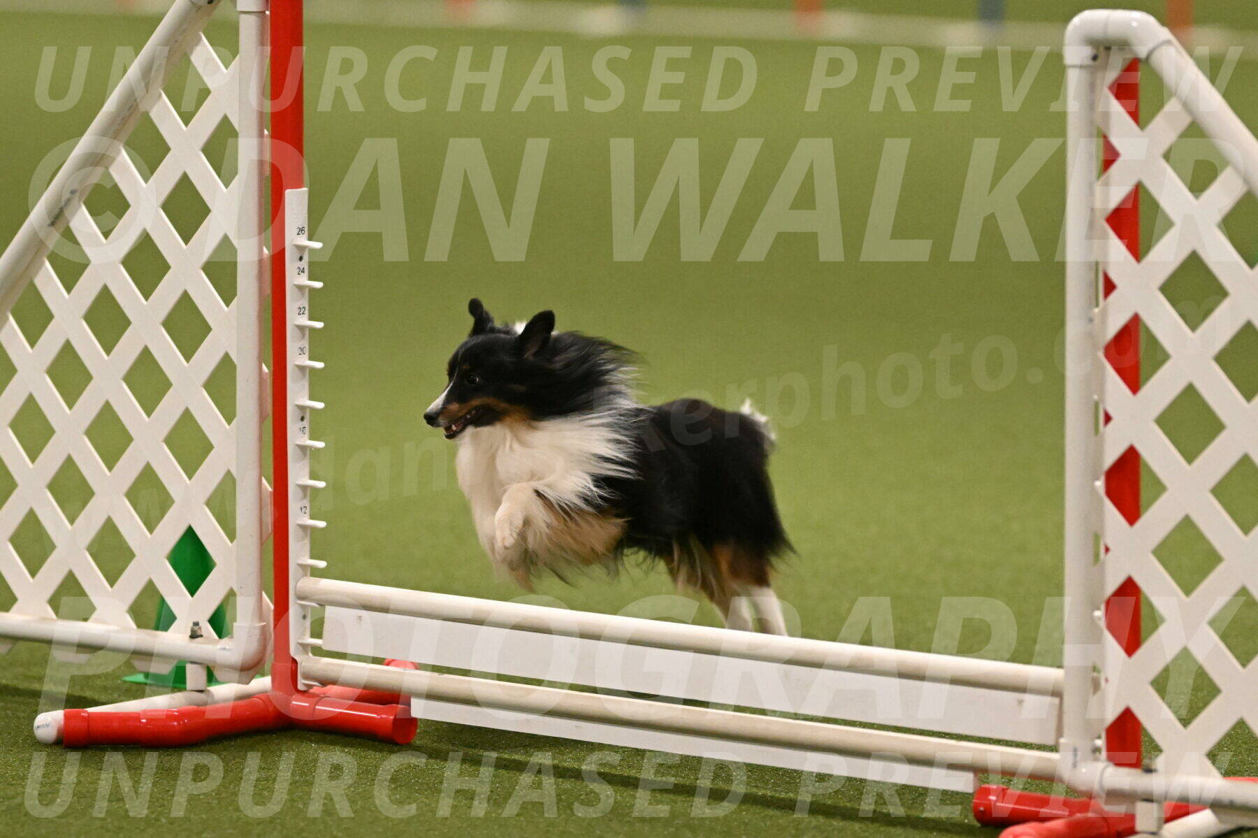 Gizmo-Kim-Finlayson-10746