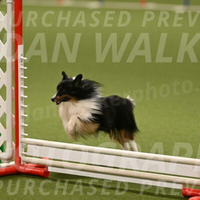 Gizmo-Kim-Finlayson-10746