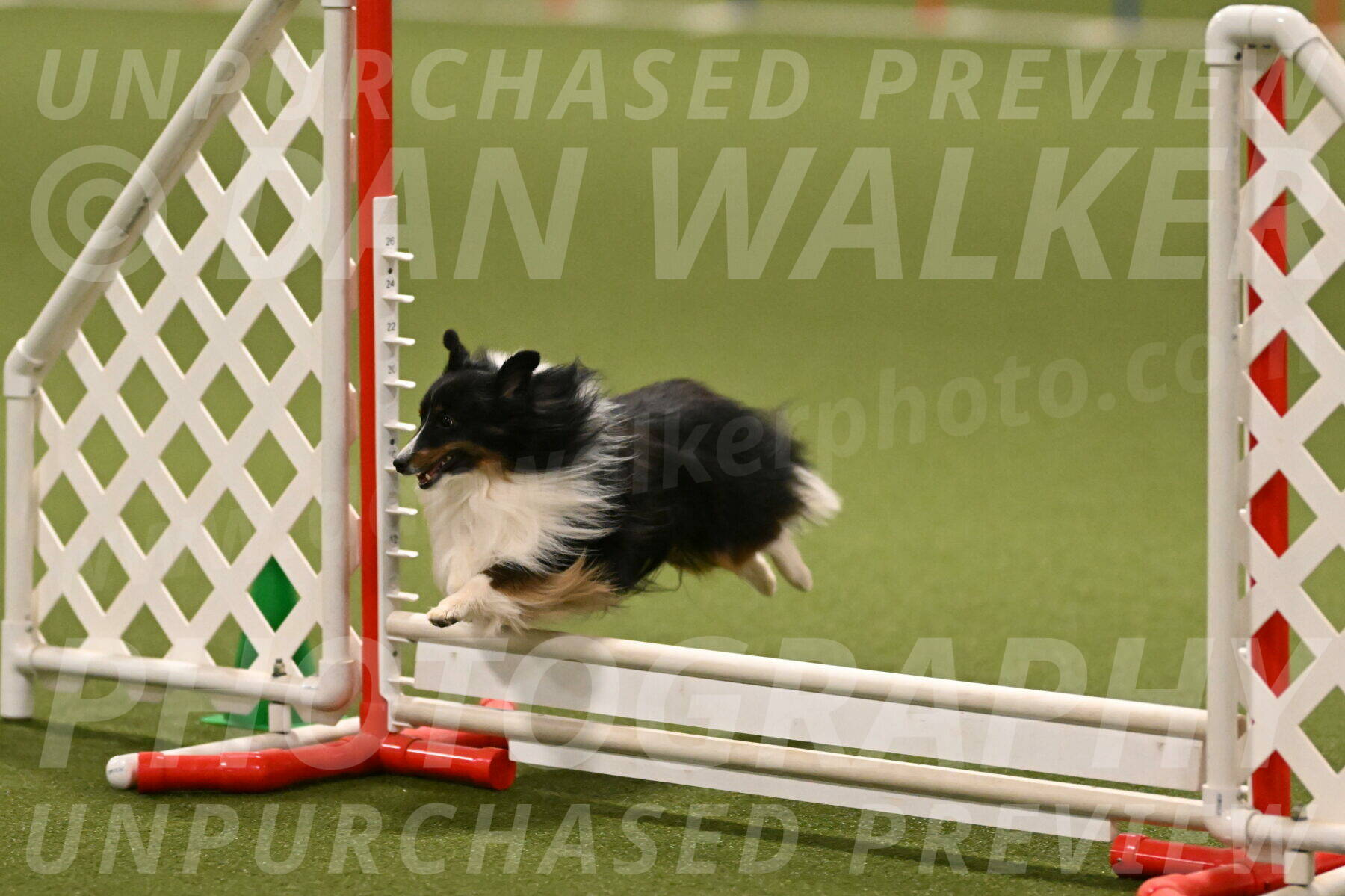 Gizmo-Kim-Finlayson-10747