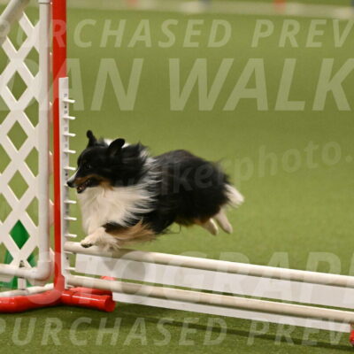 Gizmo-Kim-Finlayson-10747