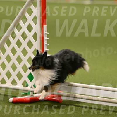 Gizmo-Kim-Finlayson-10748