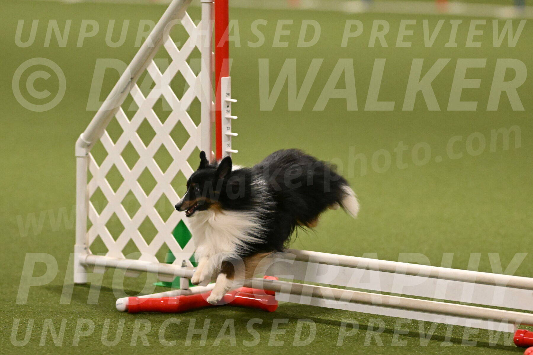 Gizmo-Kim-Finlayson-10748