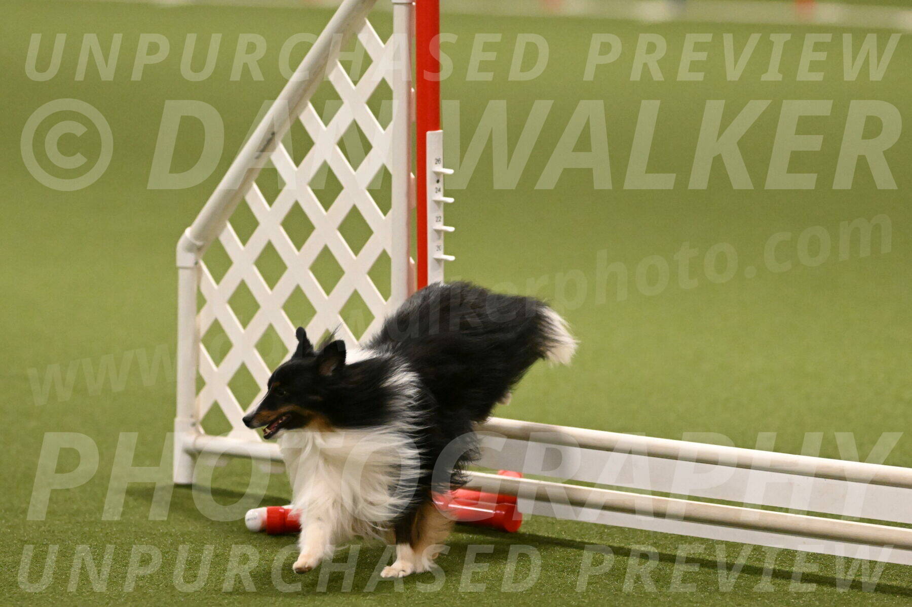 Gizmo-Kim-Finlayson-10749