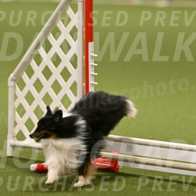 Gizmo-Kim-Finlayson-10749