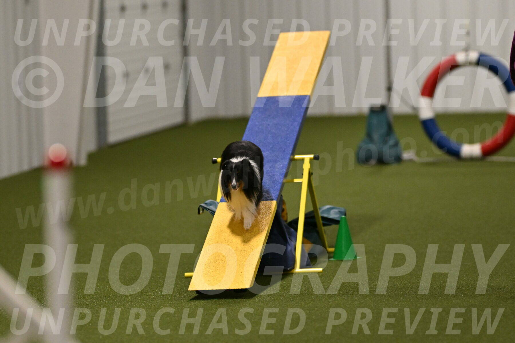 Gizmo-Kim-Finlayson-10750