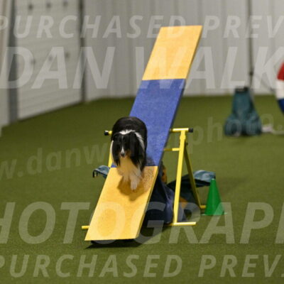 Gizmo-Kim-Finlayson-10750