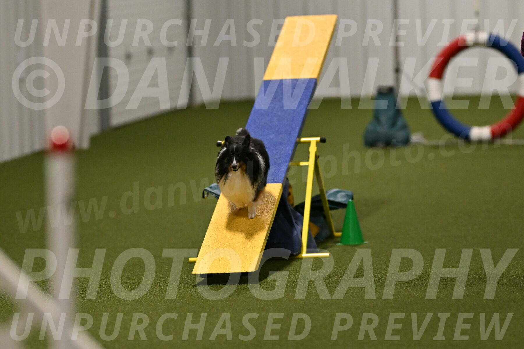 Gizmo-Kim-Finlayson-10751