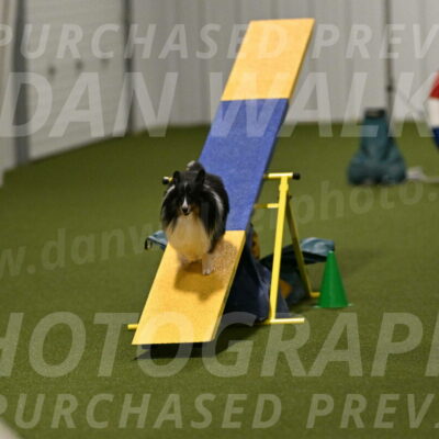 Gizmo-Kim-Finlayson-10751