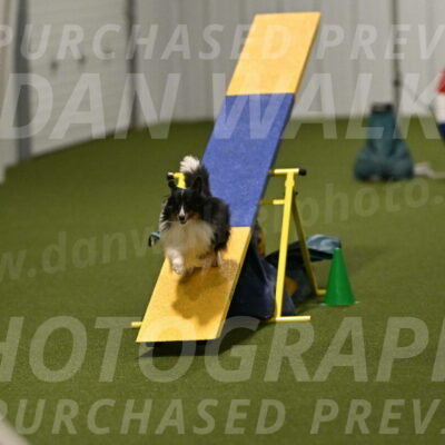 Gizmo-Kim-Finlayson-10752