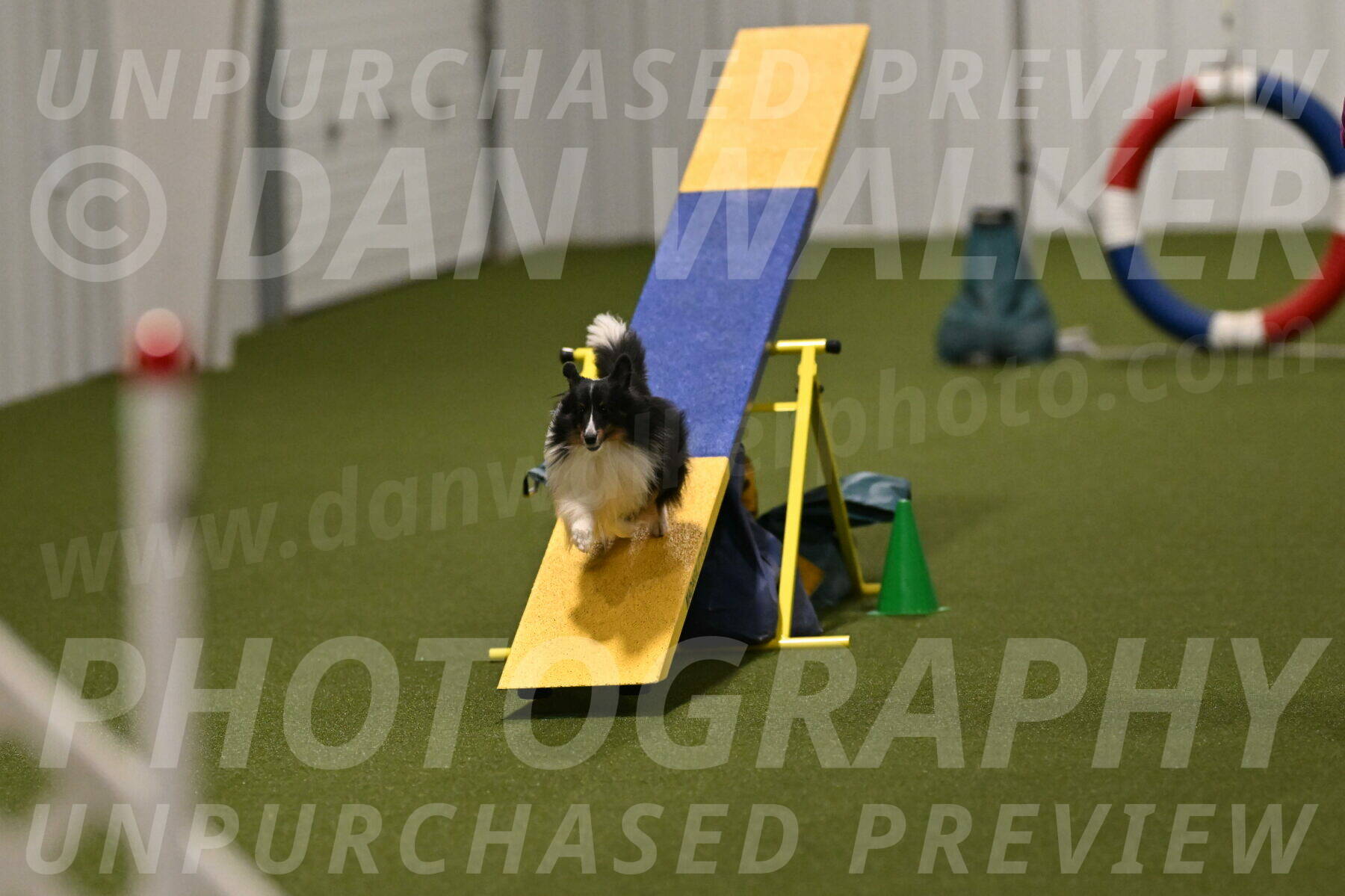 Gizmo-Kim-Finlayson-10752