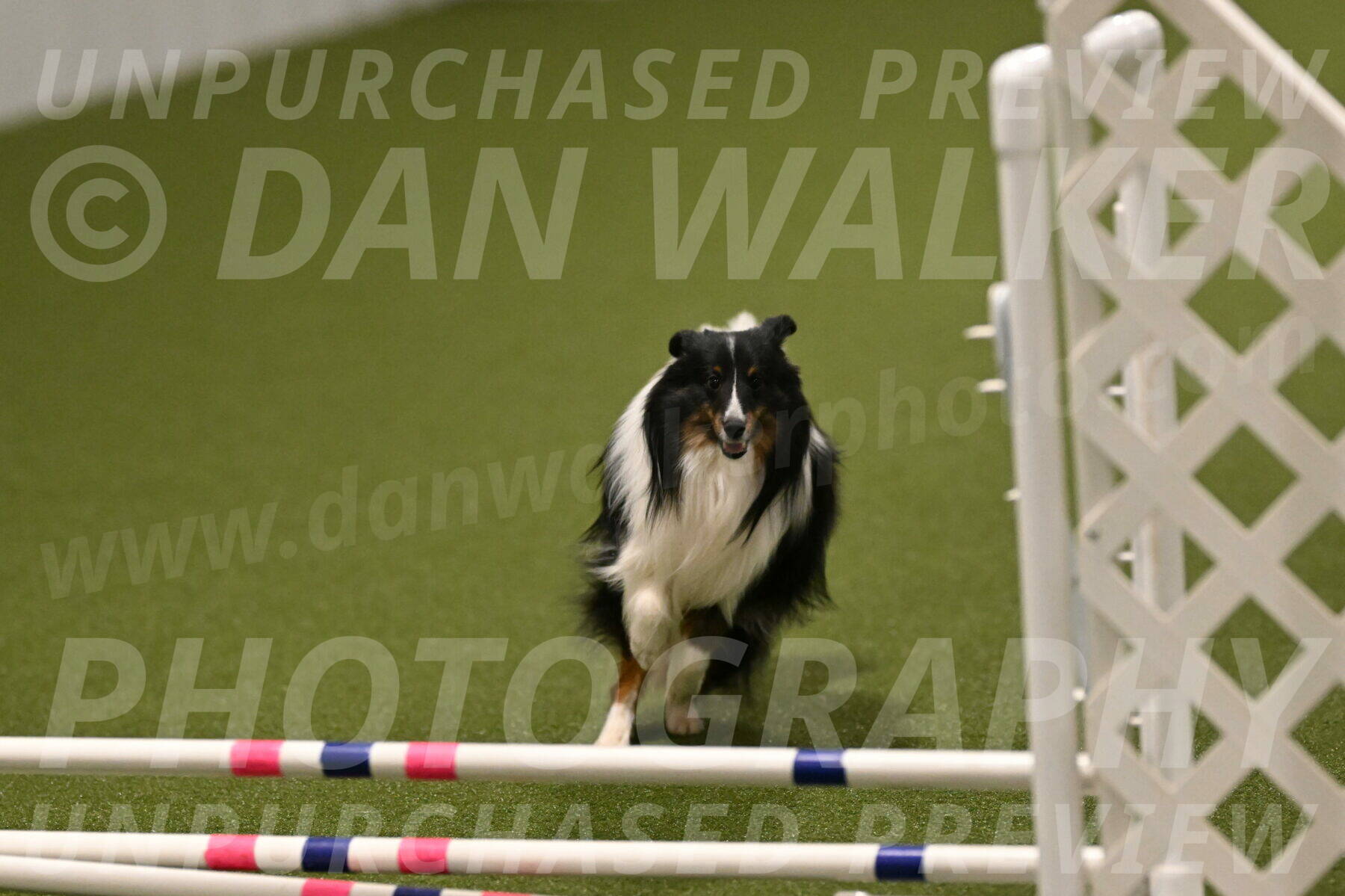 Gizmo-Kim-Finlayson-10753