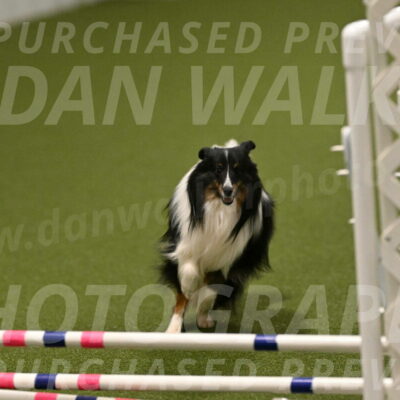 Gizmo-Kim-Finlayson-10753