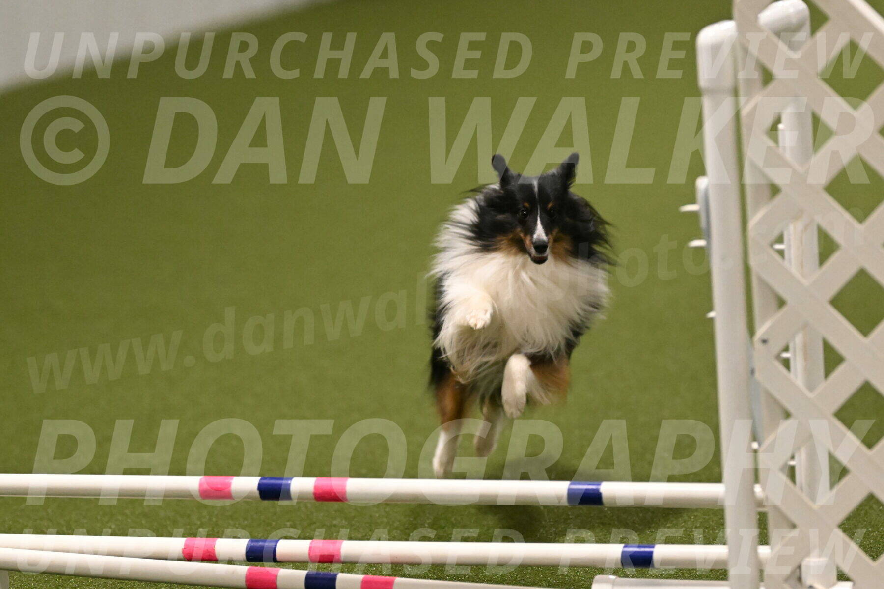 Gizmo-Kim-Finlayson-10754