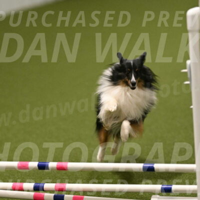 Gizmo-Kim-Finlayson-10754