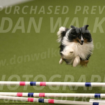 Gizmo-Kim-Finlayson-10755