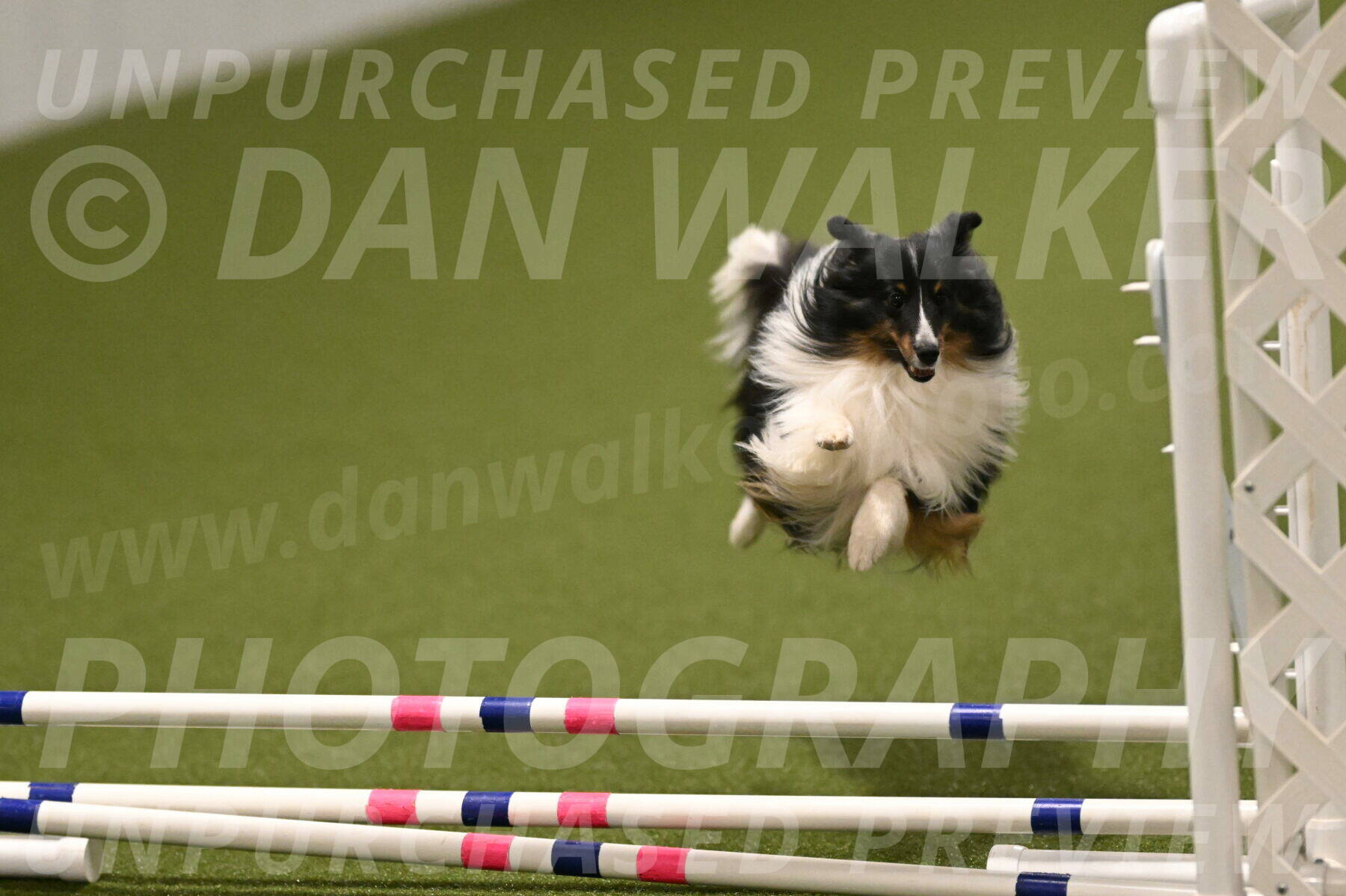 Gizmo-Kim-Finlayson-10755