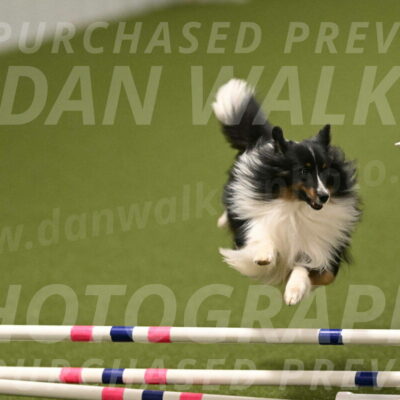 Gizmo-Kim-Finlayson-10756