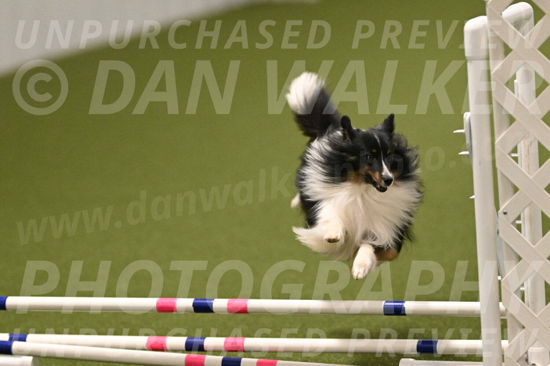 Gizmo-Kim-Finlayson-10756