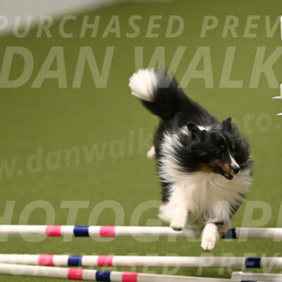 Gizmo-Kim-Finlayson-10757