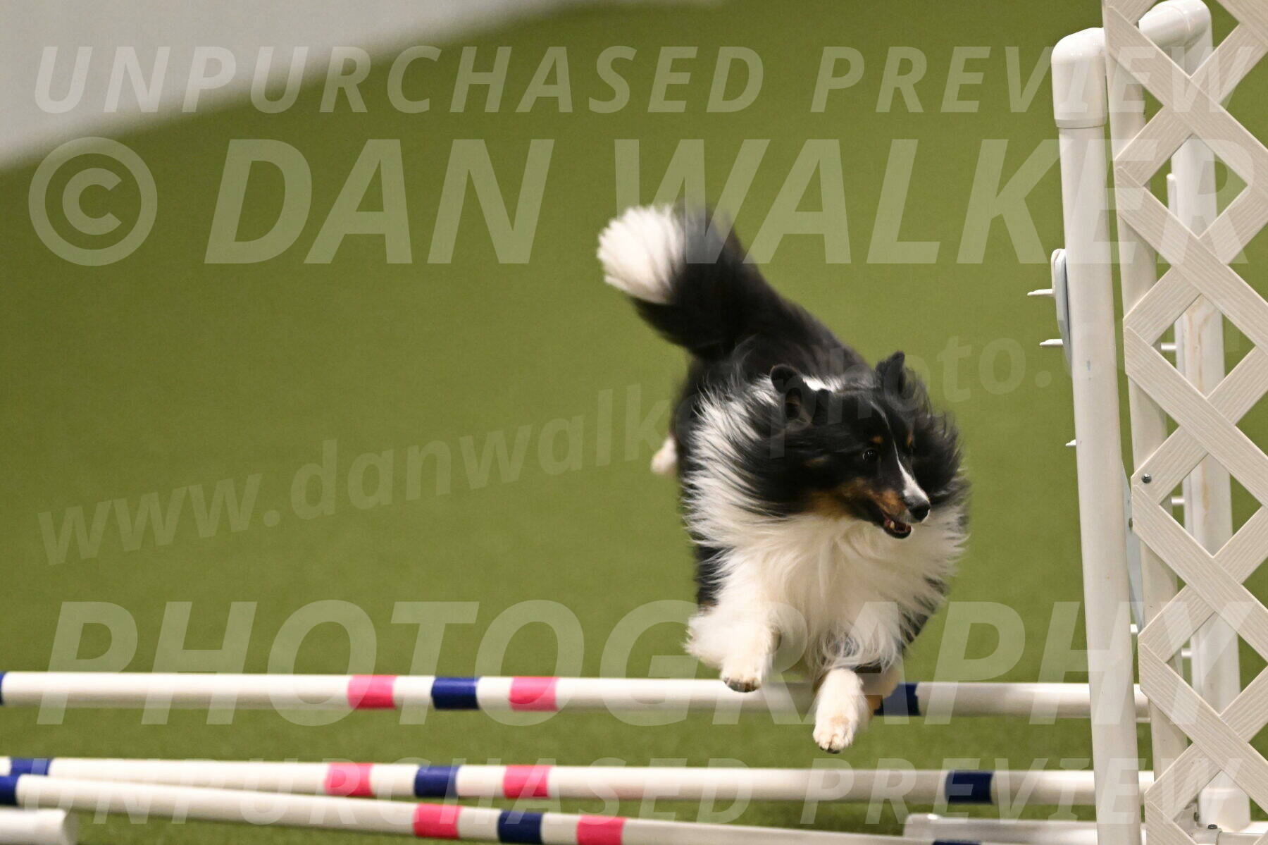 Gizmo-Kim-Finlayson-10757