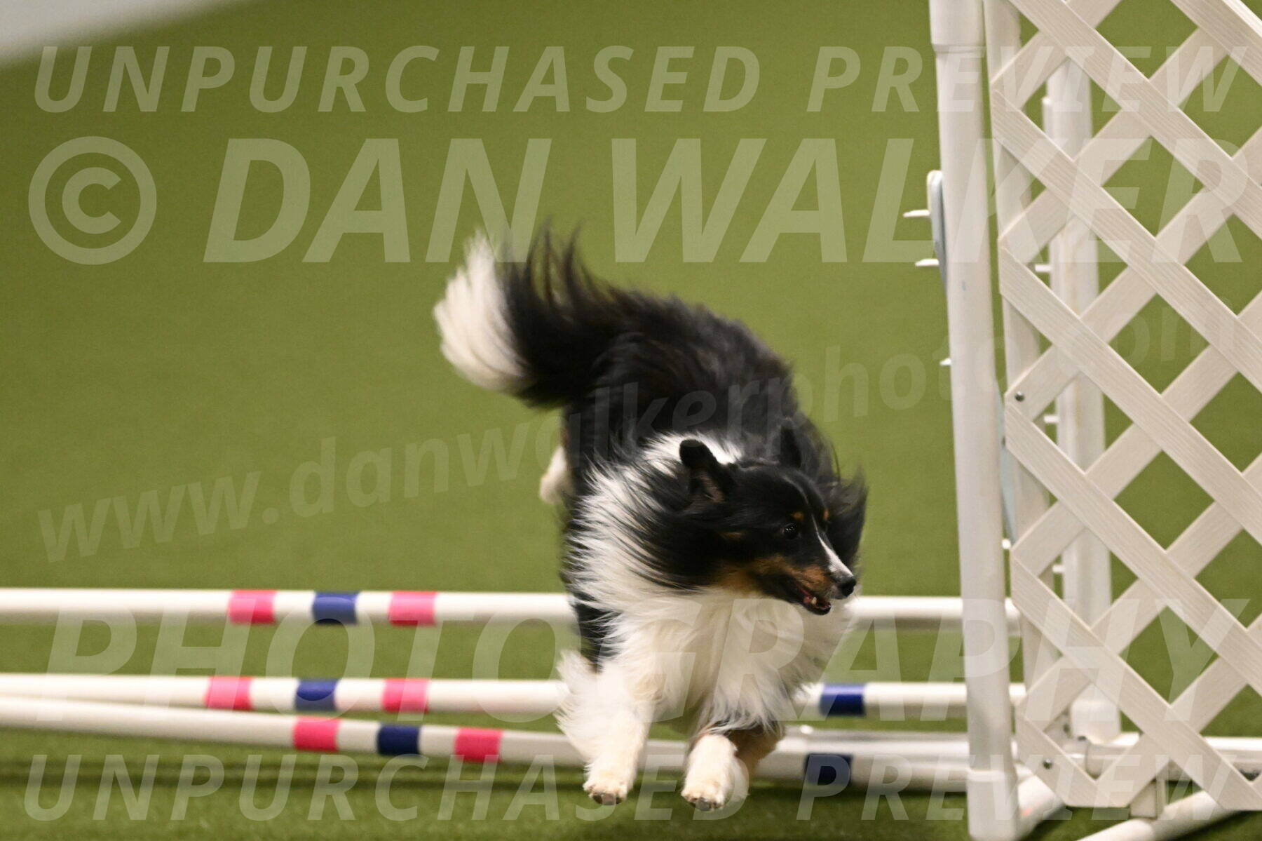 Gizmo-Kim-Finlayson-10758