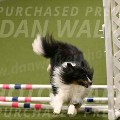 Gizmo-Kim-Finlayson-10758