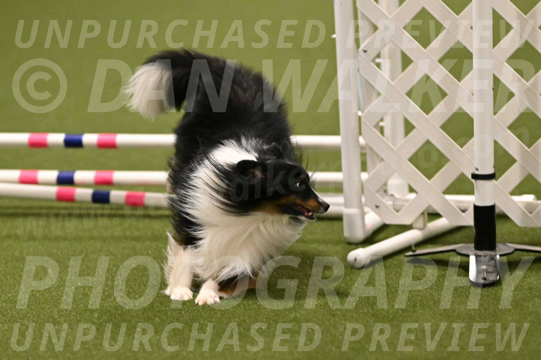 Gizmo-Kim-Finlayson-10759