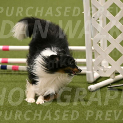 Gizmo-Kim-Finlayson-10759