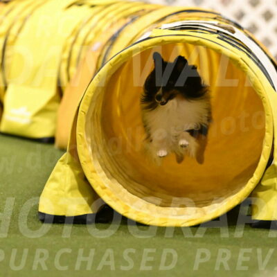 Gizmo-Kim-Finlayson-10760