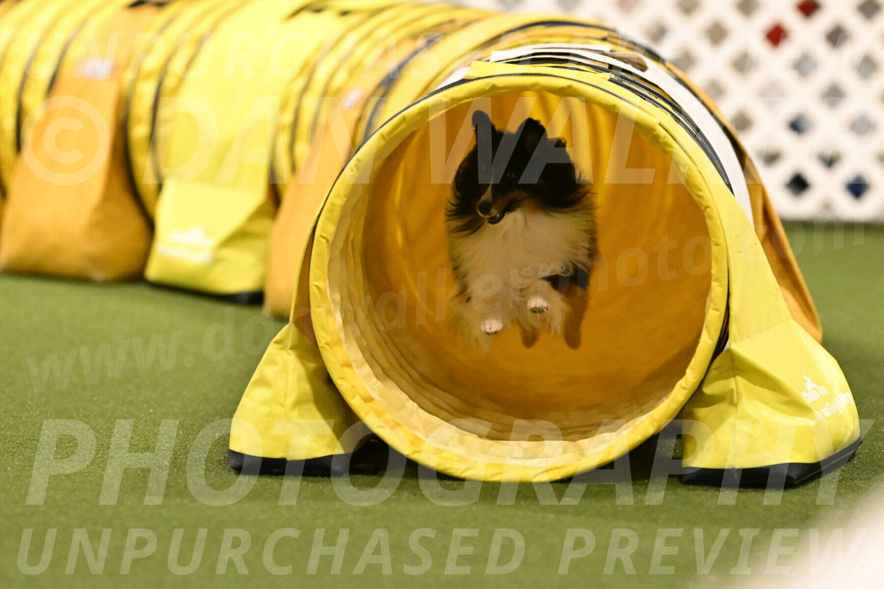 Gizmo-Kim-Finlayson-10760