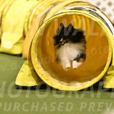 Gizmo-Kim-Finlayson-10761