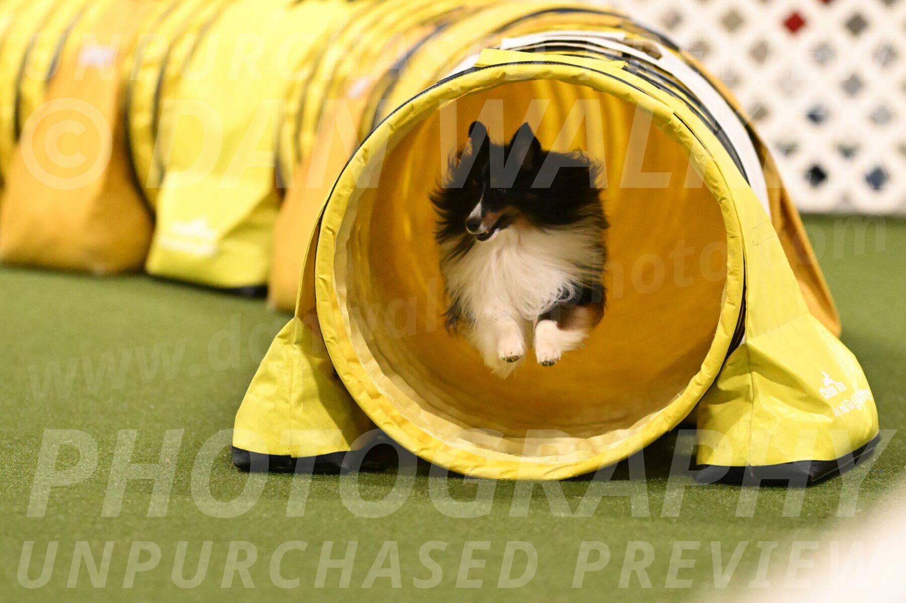 Gizmo-Kim-Finlayson-10761