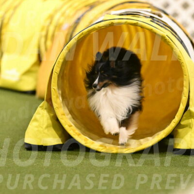 Gizmo-Kim-Finlayson-10762