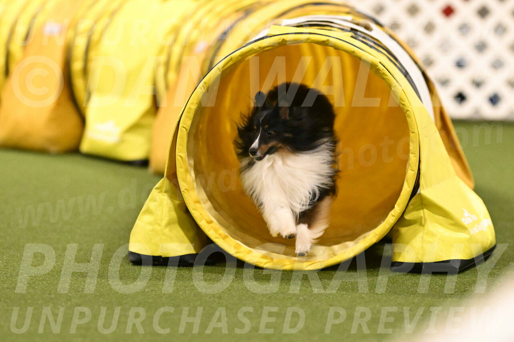 Gizmo-Kim-Finlayson-10762