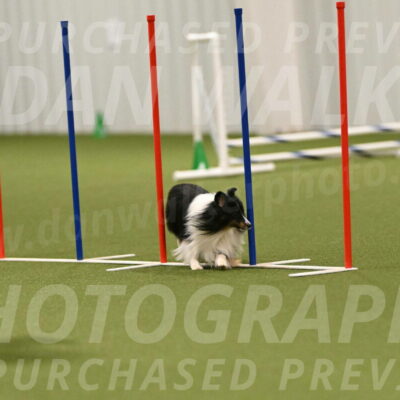 Gizmo-Kim-Finlayson-10763