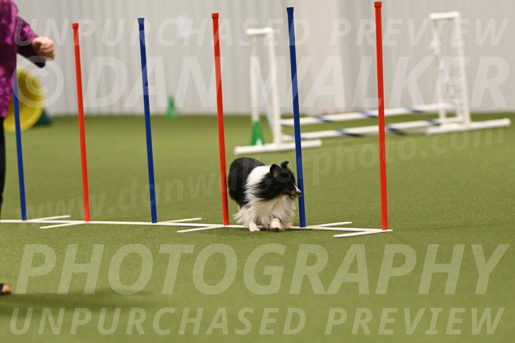 Gizmo-Kim-Finlayson-10763