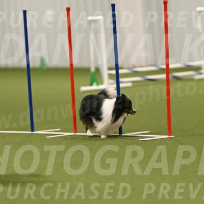 Gizmo-Kim-Finlayson-10764