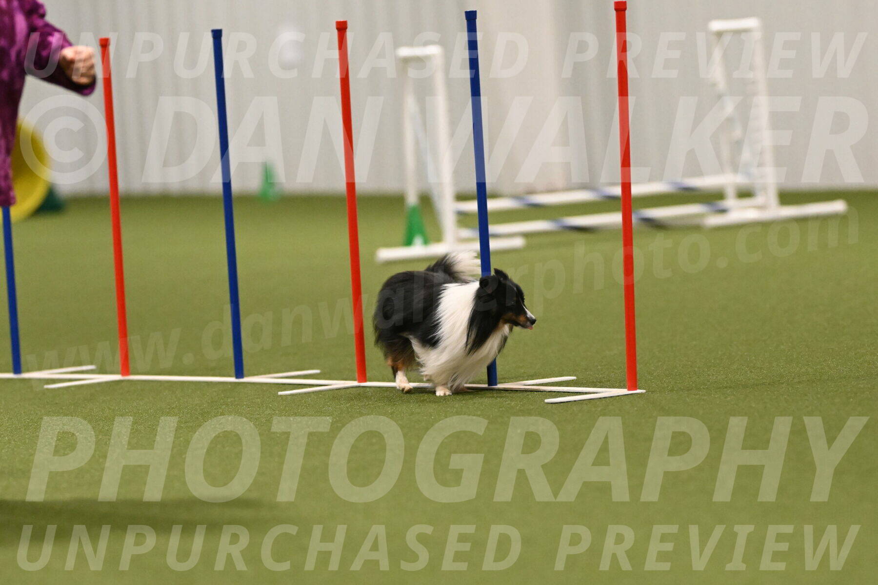 Gizmo-Kim-Finlayson-10764