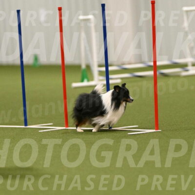 Gizmo-Kim-Finlayson-10765