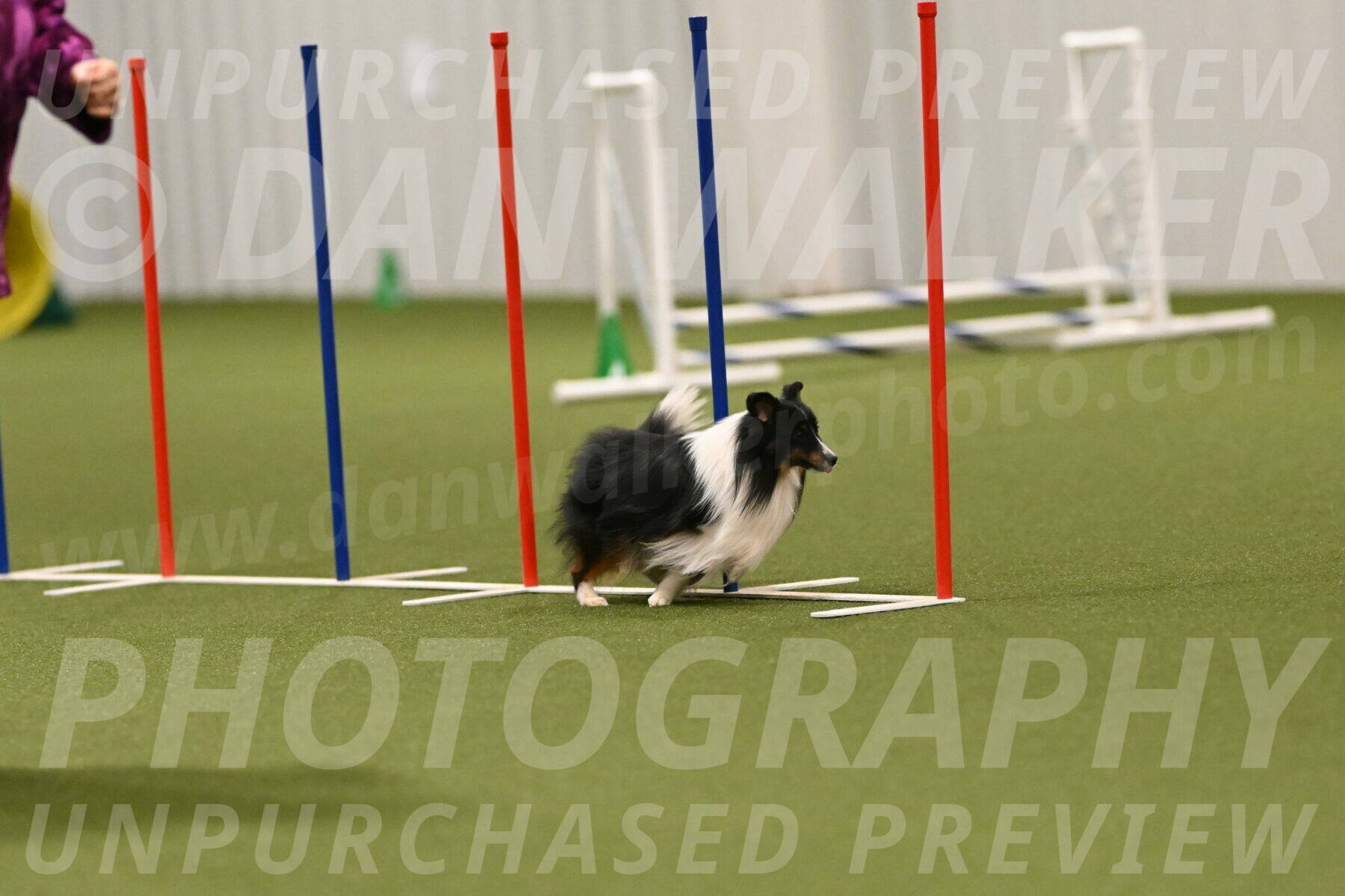 Gizmo-Kim-Finlayson-10765