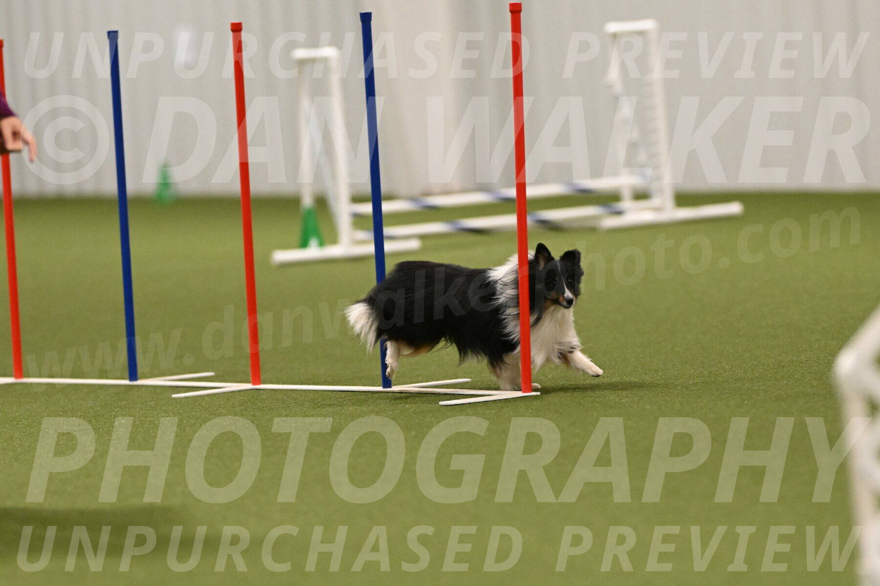 Gizmo-Kim-Finlayson-10766